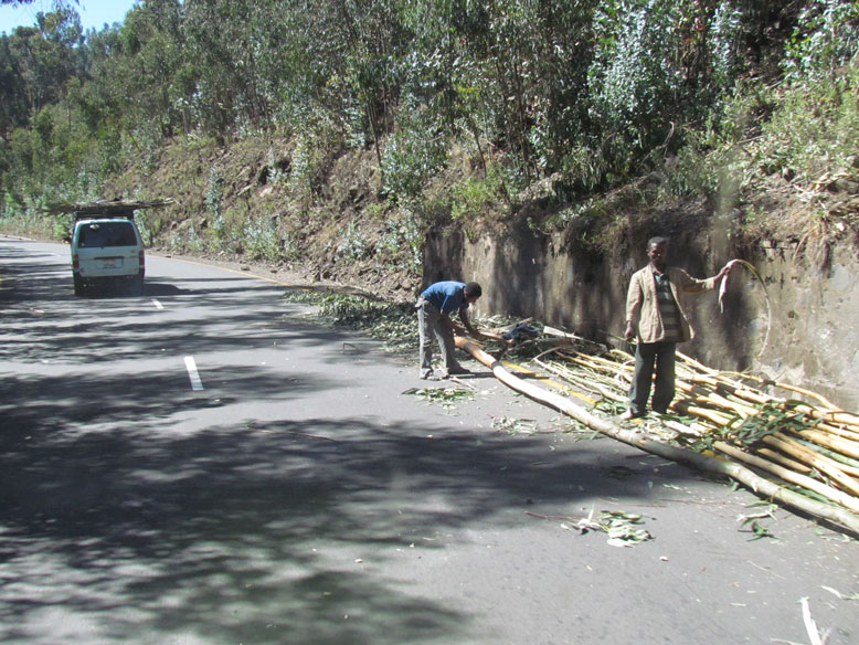 todo gira en torno a la carretera